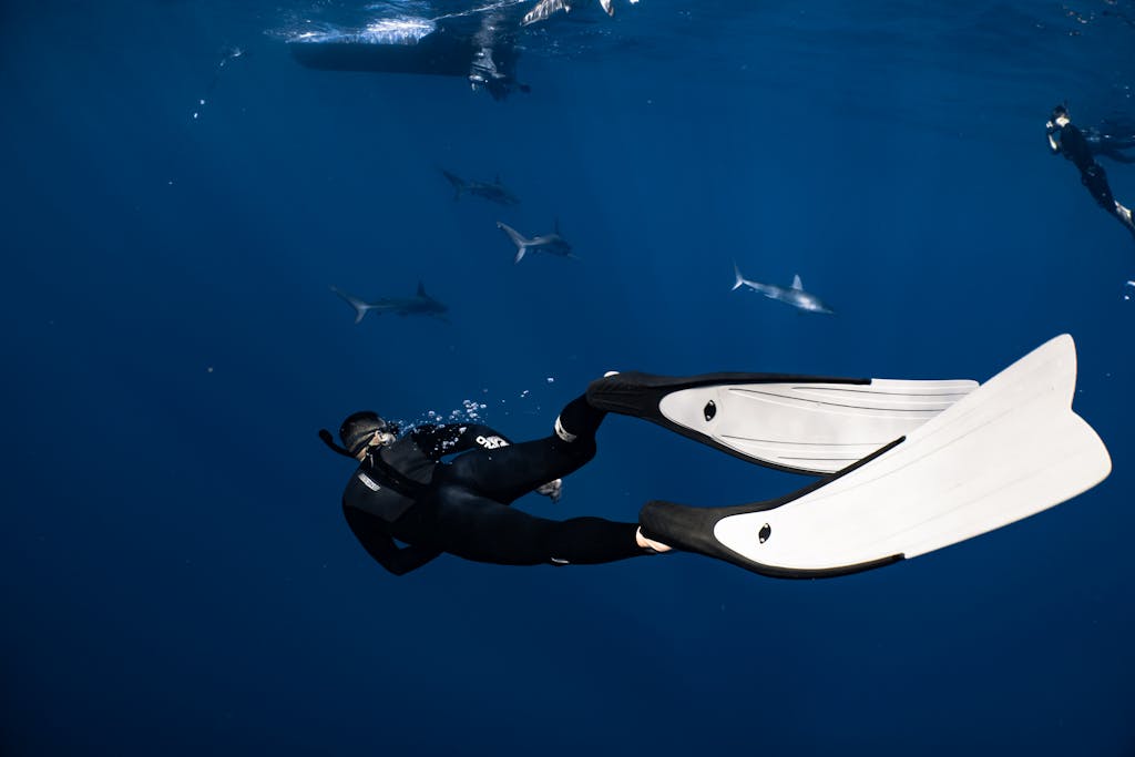 A diver in a wetsuit explores the underwater world with sharks swimming nearby.