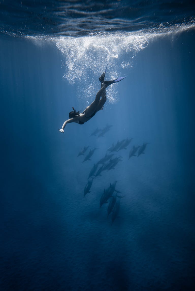 A female diver gracefully swims with dolphins in a deep ocean dive, surrounded by clear blue waters.