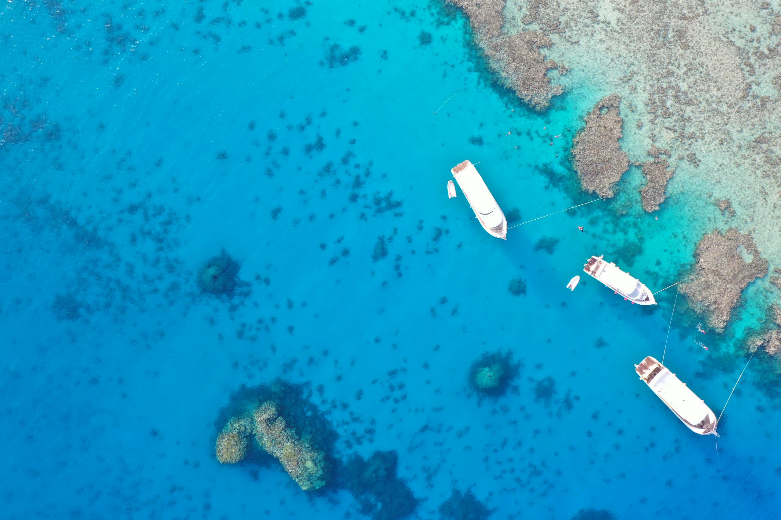 Aerial photo of boats moored near coral reefs in the clear waters of Hurghada, Egypt.