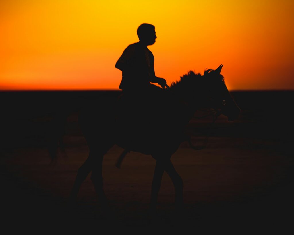 silhouette of man riding horse during sunset